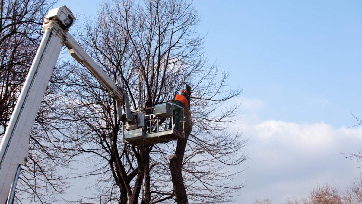 The Revolutionary Influence of Drones in Construction Sites 7864